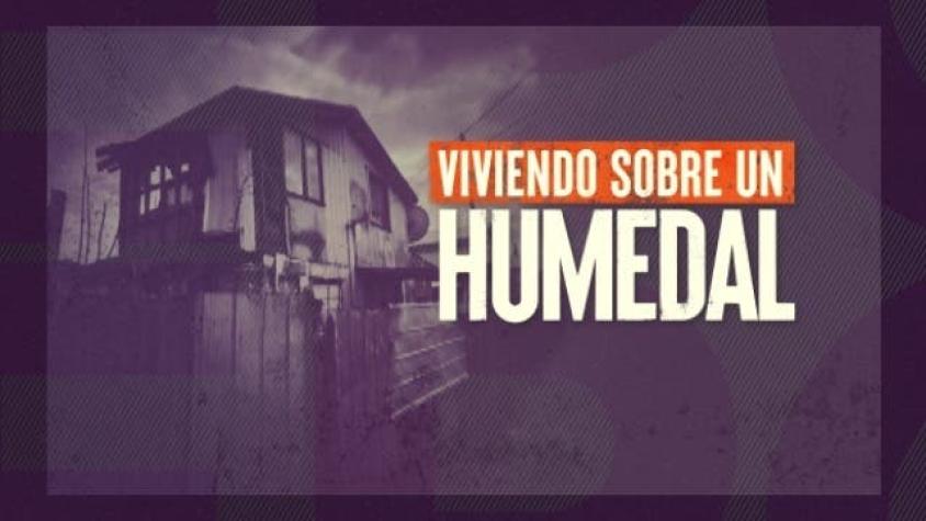 [VIDEO] Reportajes T13: Casas sobre humedal son declaradas "inhabitables"
