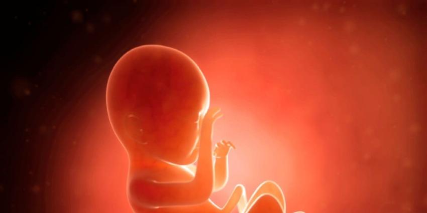 El COVID-19 aumenta fuertemente las posibilidad de muerte fetal, según estudio