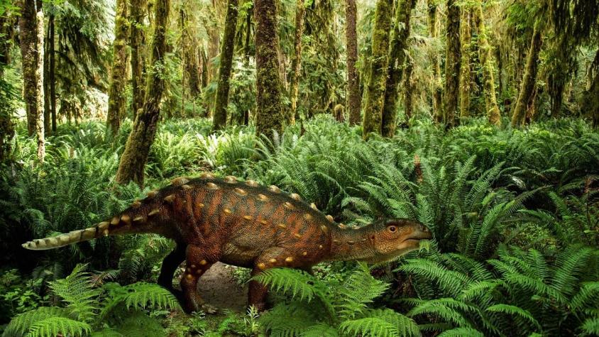 Tenía una cola con púas: descubren nueva especie de dinosaurio acorazado en la Patagonia de Chile