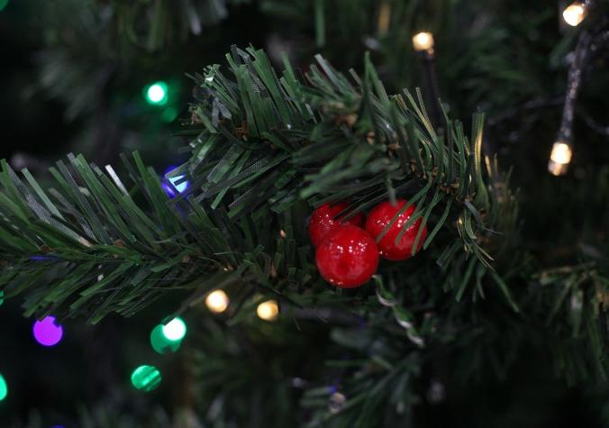 Luces en mal estado y adornos peligrosos: ¿Cómo evitar accidentes hogareños en Navidad?