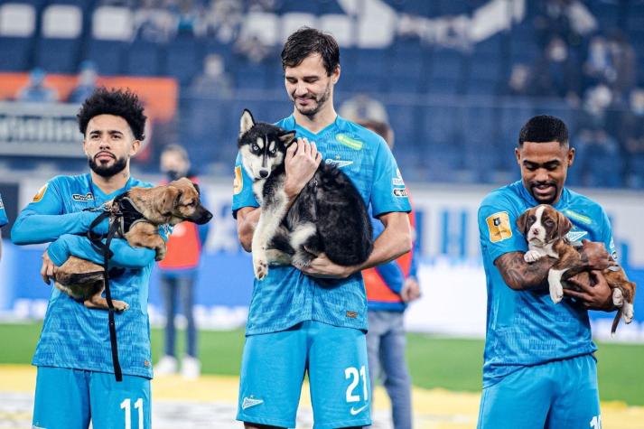 [VIDEO] Club ruso sorprende entrando con perritos a la cancha para promover su adopción