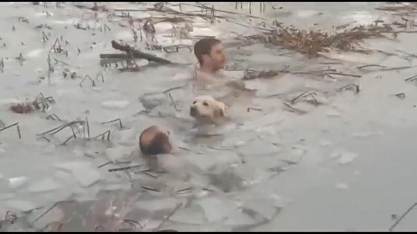 Guardias civiles rescatan a un perrito de un embalse congelado en España