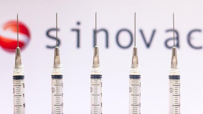 Sinovac: OPS exige 3 dosis para considerar completamente vacunadas a las personas de más de 60 años