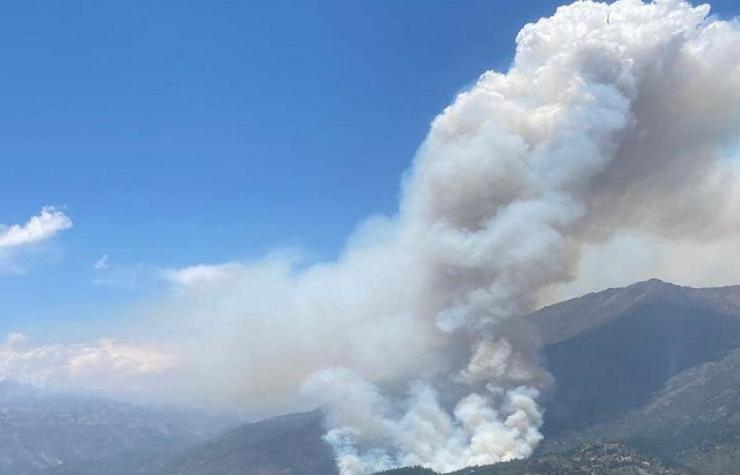 Alerta roja en San Fernando por incendio forestal que se registra cerca de viviendas