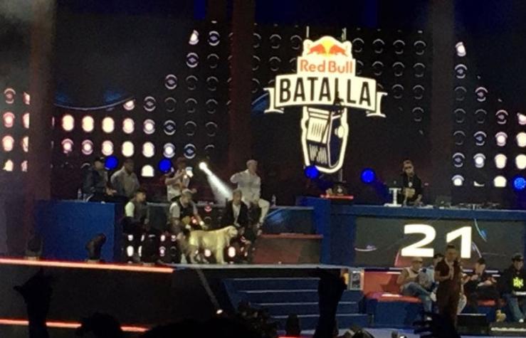 Un perro se sube al escenario de la Red Bull Batalla y no faltaron los memes