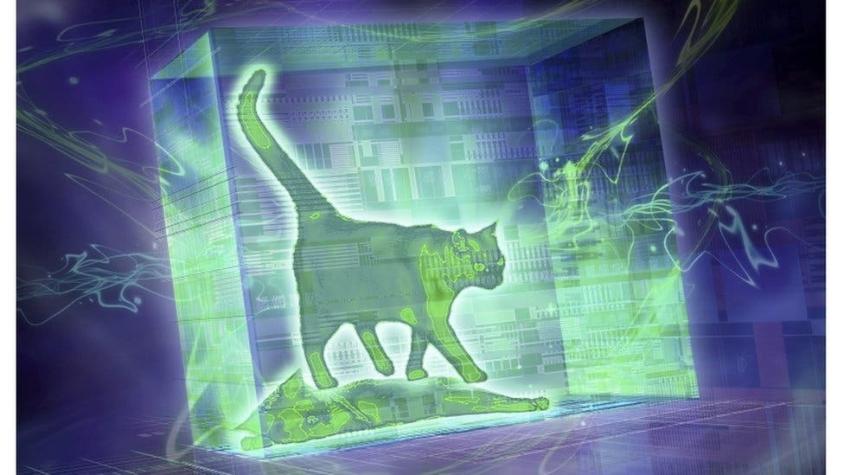 ¿Qué pasó con el gato filósofo de Schrödinger, el experimento más famoso de la física cuántica?