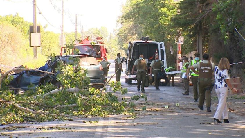 [VIDEO] Hombre murió por caída de un árbol en mal estado sobre su auto