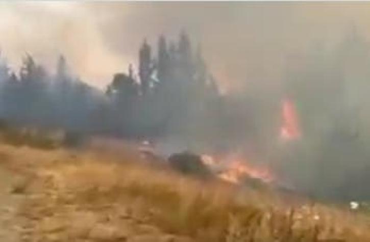Declaran Alerta Roja en Quillón por incendio forestal