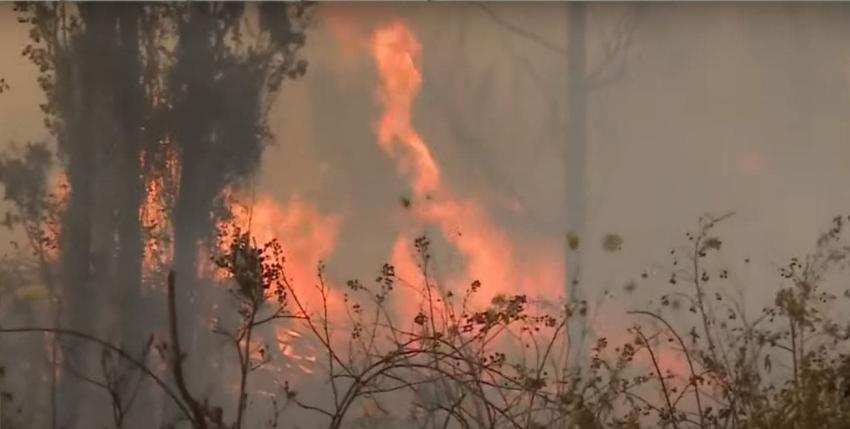 [VIDEO] Alerta roja en La Araucanía: Incendio forestal avanza sin control