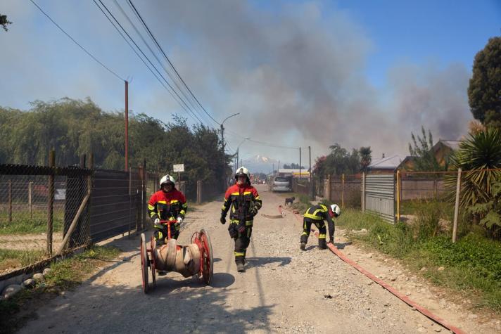 Onemi mantiene Alerta Roja en 5 comunas por incendios forestales: Más de 11 mil hectáreas quemadas
