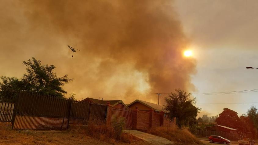 Onemi ordena evacuación de cuatro sectores de Quillón por incendios forestales