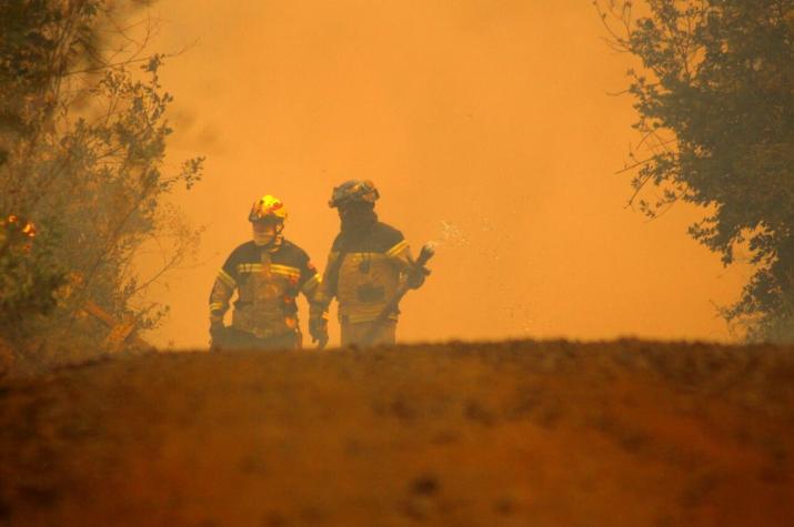 Incendio forestal en Quillón: Ya hay cinco casas quemadas y más de 1600 hectáreas consumidas