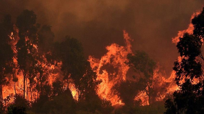 Incendios forestales en verano: Qué es el 30-30-30 y por qué es tan preocupante