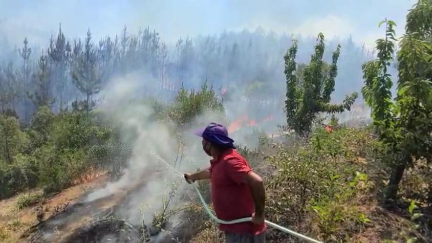 [VIDEO] Incendios consumen 25 mil hectáreas en cuatro regiones