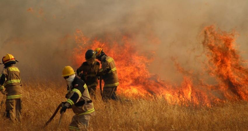 Onemi entregó resumen por incendios forestales: 26 están activos