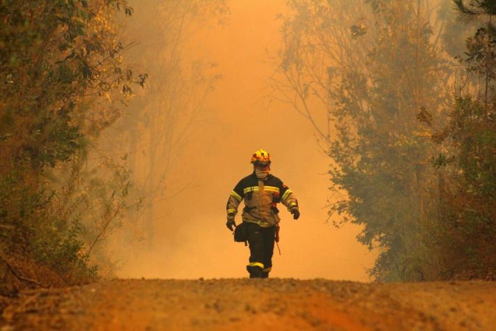 Gobierno decreta Emergencia Agrícola por incendio forestal en Quillón