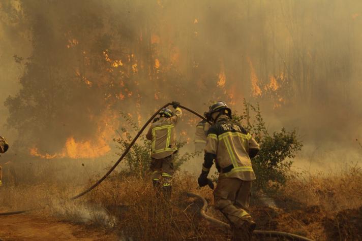 Declaran Alerta Amarilla en la región de La Araucanía por incendios forestales