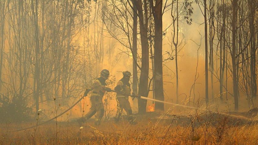 Delgado por incendios forestales: "Hay personas que están aprovechando para generar nuevos focos"