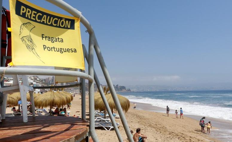 Cierran playas en Viña del Mar y El Tabo por presencia de Fragata Portuguesa