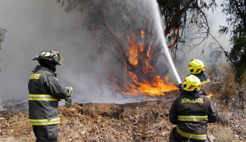 Declaran alerta roja en Litueche por incendio forestal