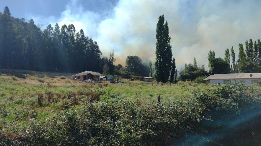 Onemi declara alerta roja en Las Cabras por incendio forestal
