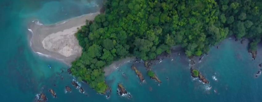 [VIDEO] Isla Gorgona: el "Alcatraz Colombiano" que se convirtió en un paraíso natural