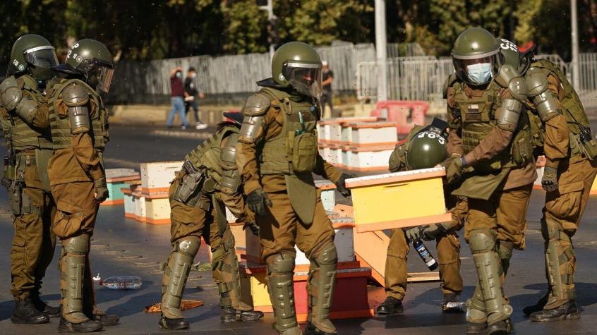 Apicultores protestaron bloqueando la Alameda con cajas con abejas