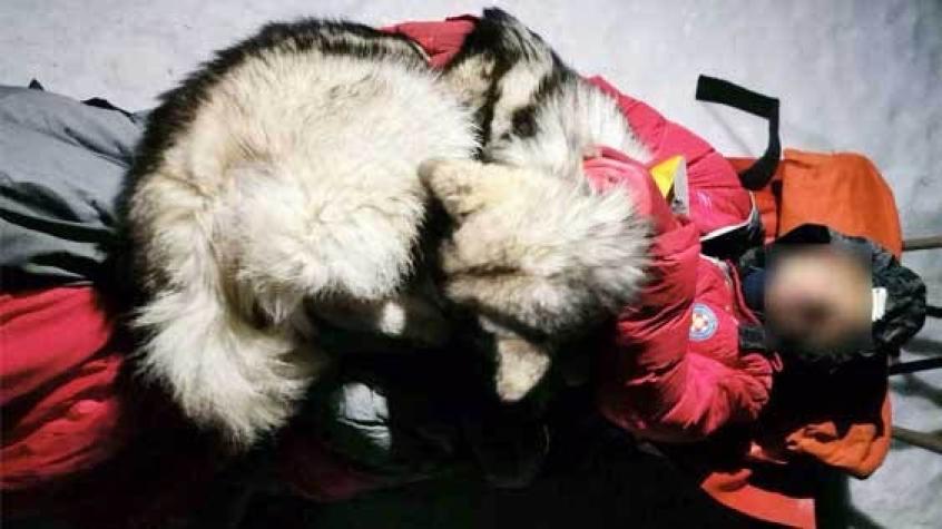 Montañista accidentado es salvado por su perro: estuvo 13 horas acostado sobre él para darle calor