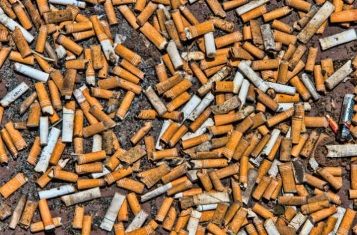 "Chao Colillas": avanza proyecto que prohíbe fumar en playas, ríos y lagos
