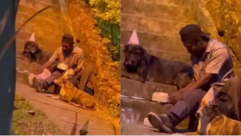 [VIDEO] Persona en situación de calle celebra el cumpleaños a sus perritos con gorros y torta