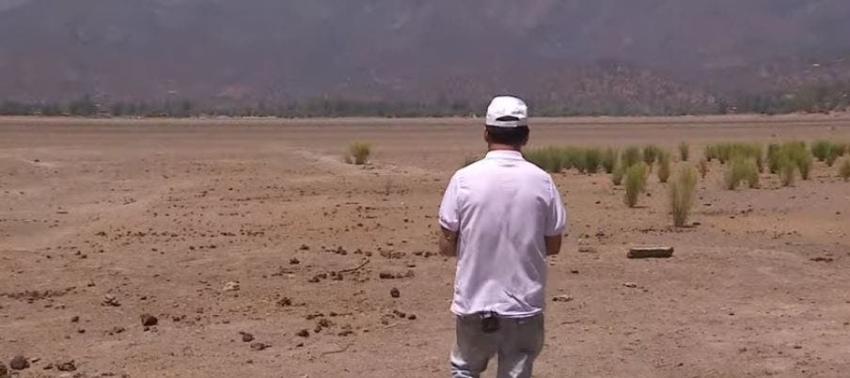[VIDEO] Extracción desmedida de agua secó Laguna de Aculeo