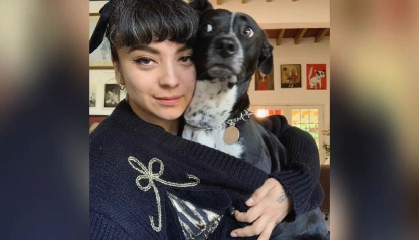 "No sé qué hacer": El angustiante video de Mon Laferte con su perrita herida tras fuerte pelea