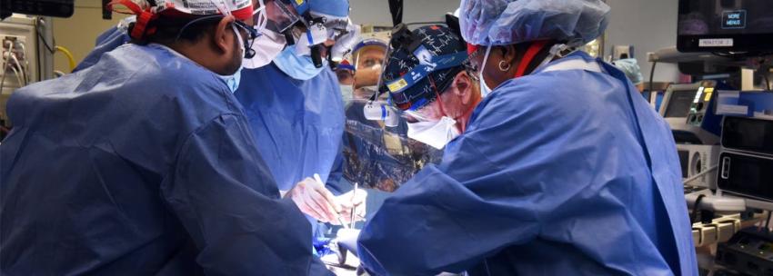Cirujanos estadounidenses trasplantan con éxito un corazón de cerdo a una persona