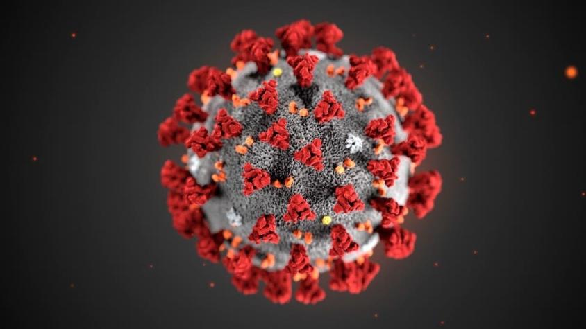 Covid: por qué las vacunas de células T podrían ser la clave para la inmunidad a largo plazo