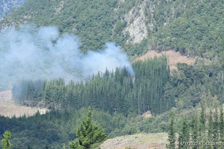 Onemi declara alerta roja en Melipeuco: Incendio amenaza Reserva Nacional China Muerta