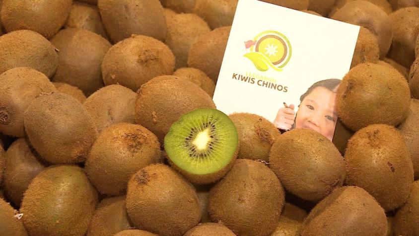 [VIDEO] Habrá kiwi todo el año: Llegó partida desde China