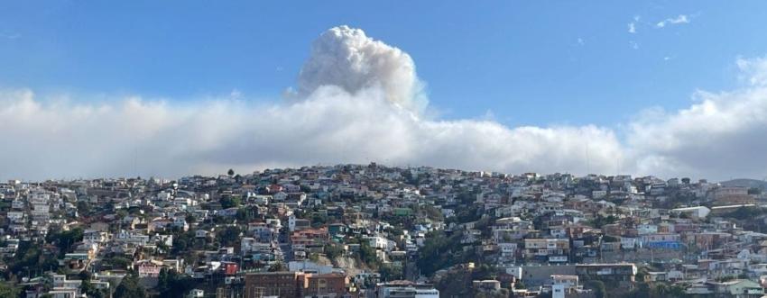 Incendio forestal consume sector de Cuesta Balmaceda en Valparaíso