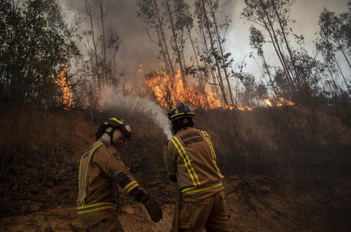 Onemi declara Alerta Roja para Valparaíso por incendio forestal