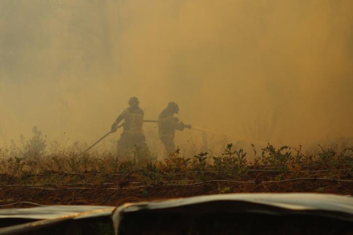 Decretan alerta roja en Viña del Mar por incendio forestal Decretan alerta roja en Viña del Mar por incendio forestal