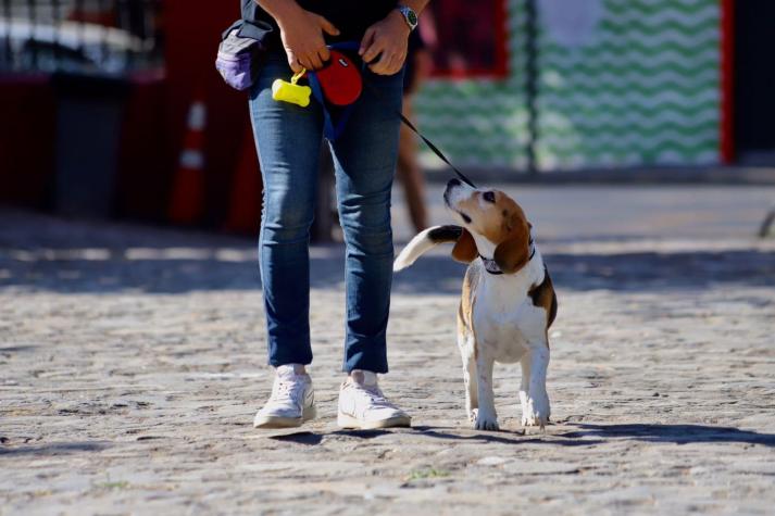 Primera Encuesta Nacional de mascotas: El 99,7% dice que las considera como parte de la familia