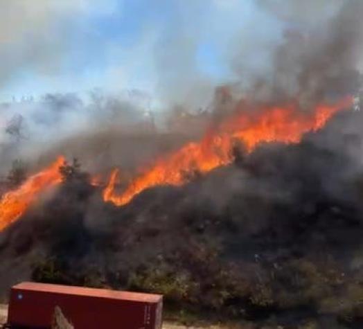 Incendio Forestal consume sector de Playa Ancha: Declaran Alerta Roja