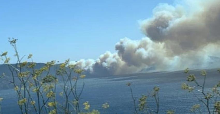 Onemi decreta Alerta Roja por incendio forestal en Laguna Verde