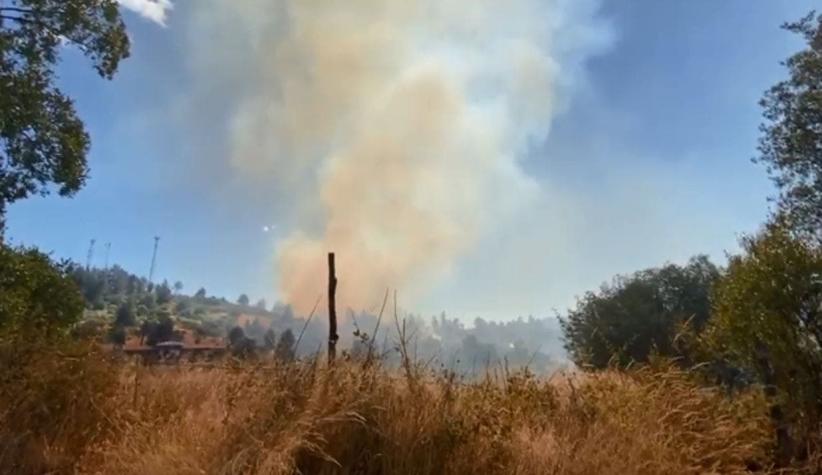Alerta Roja por incendio forestal en Quillón