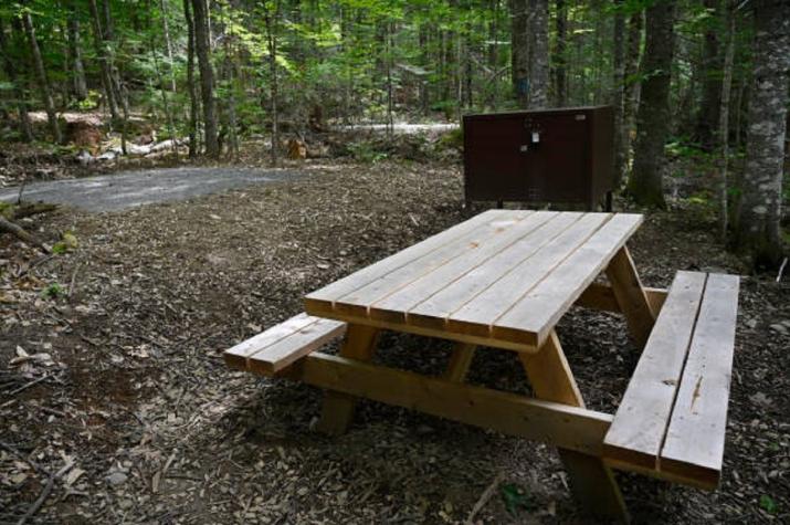 Niña de ocho años falleció después que le cayera encima una mesa en un camping en Argentina