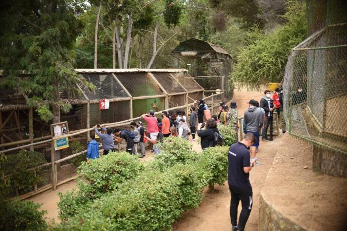 Zoológico de Quilpué marca hito y busca transformarse en santuario de la naturaleza