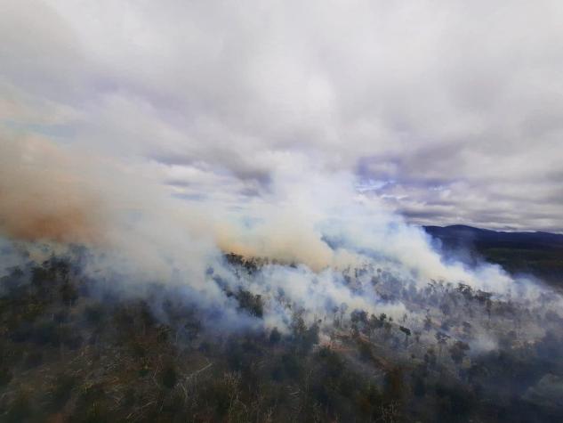Incendios en regiones de Chile: Conaf decretó alerta roja comunal en Tierra del Fuego