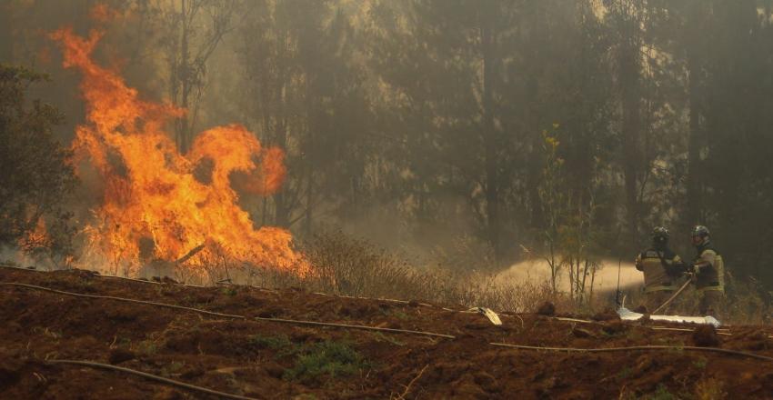 Onemi declara Alerta Roja para Chimbarongo por incendio forestal