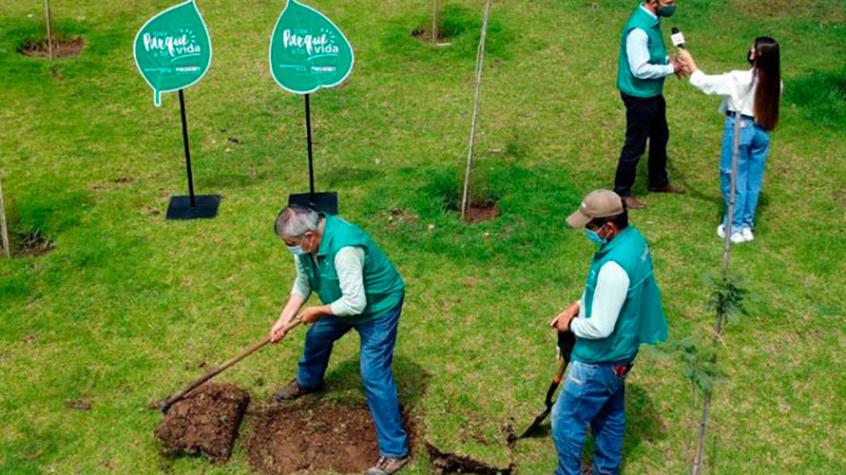 Parque Metropolitano sacará 53 mil metros cuadrados de pasto para ahorrar agua
