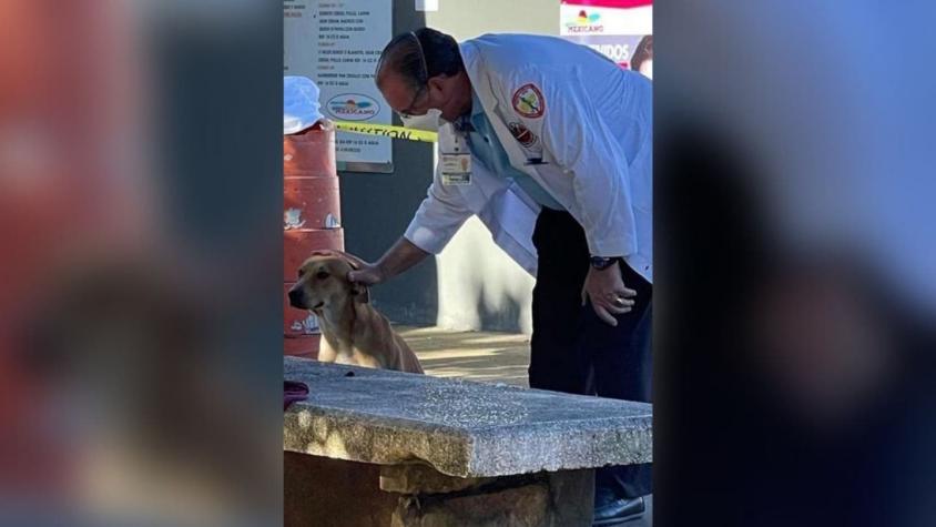 Adoptan a perro que se quedó esperando que su dueño volviera a una banca tras fallecer