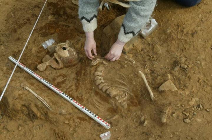 Hallan casi 200 columnas vertebrales empaladas en sitio arqueológico de Perú